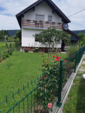Vila Ajsa, Bihac